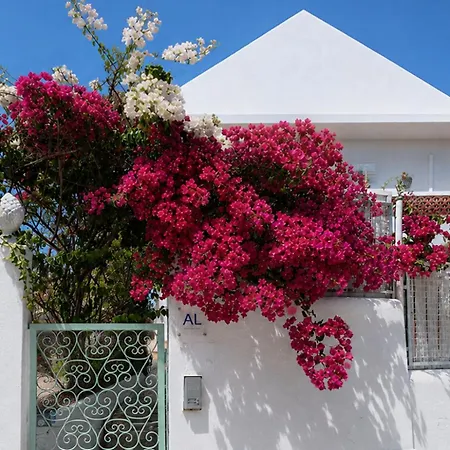 Casa Branca - Caparica بيت شباب *